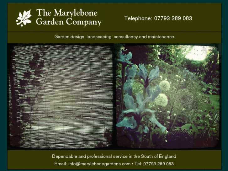 www.marylebonegardens.com