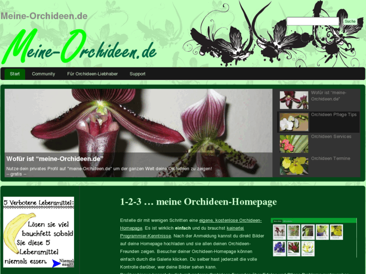 www.meine-orchideen.com