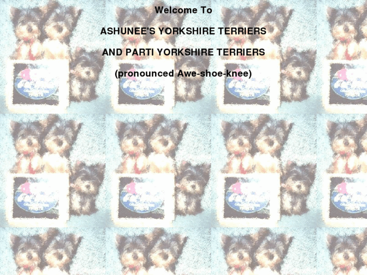 www.teacupyorkies.com