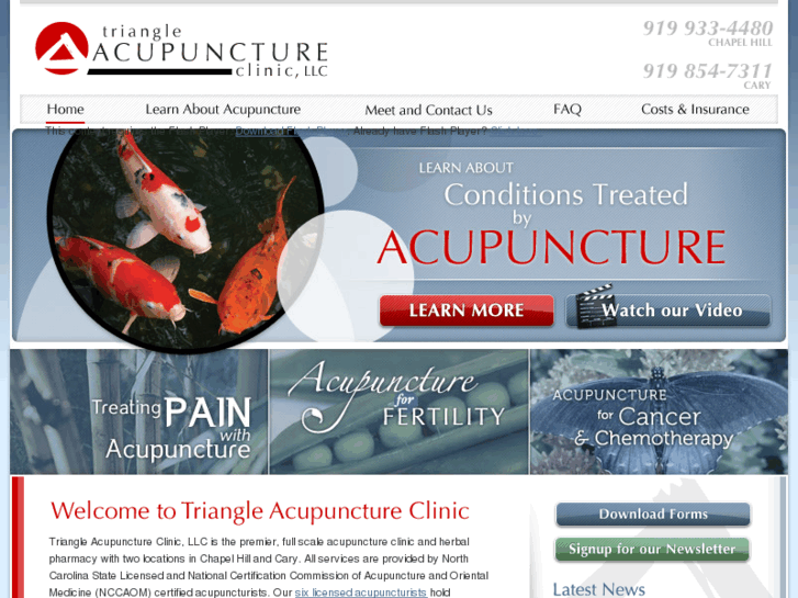 www.triangleacupunctureclinic.com