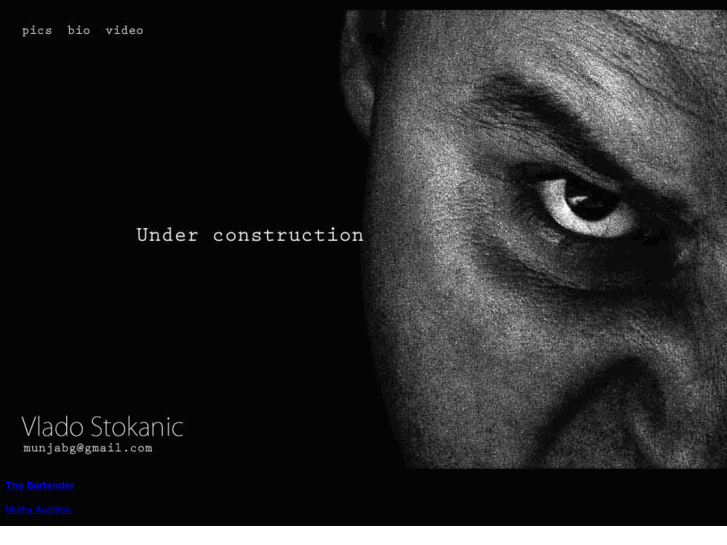 www.vladostokanic.com