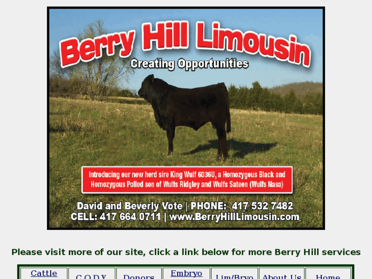 www.berryhilllimousin.com