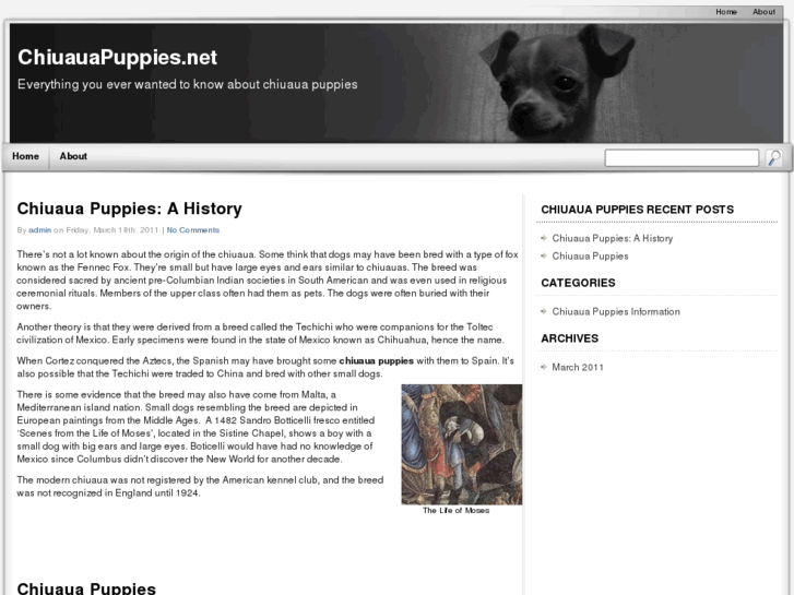 www.chiuauapuppies.net