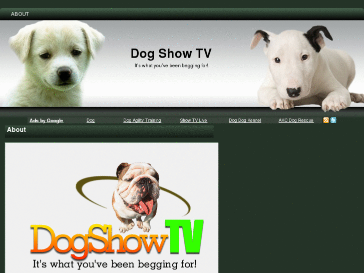 www.dogshowtv.net