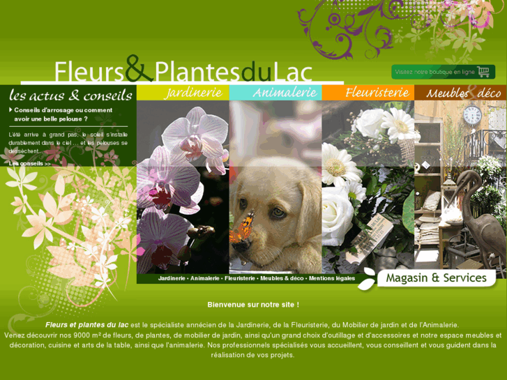 www.fleurs-et-plantes-du-lac.com