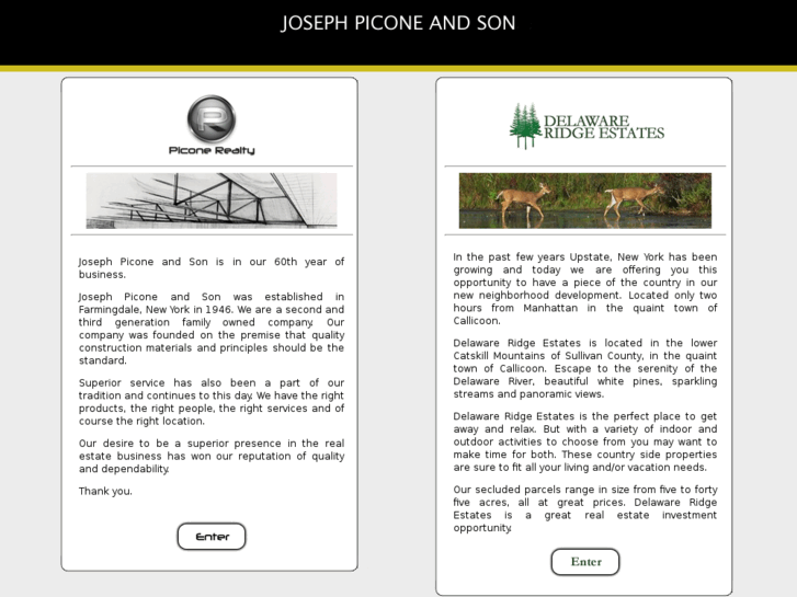 www.josephpiconeandson.com