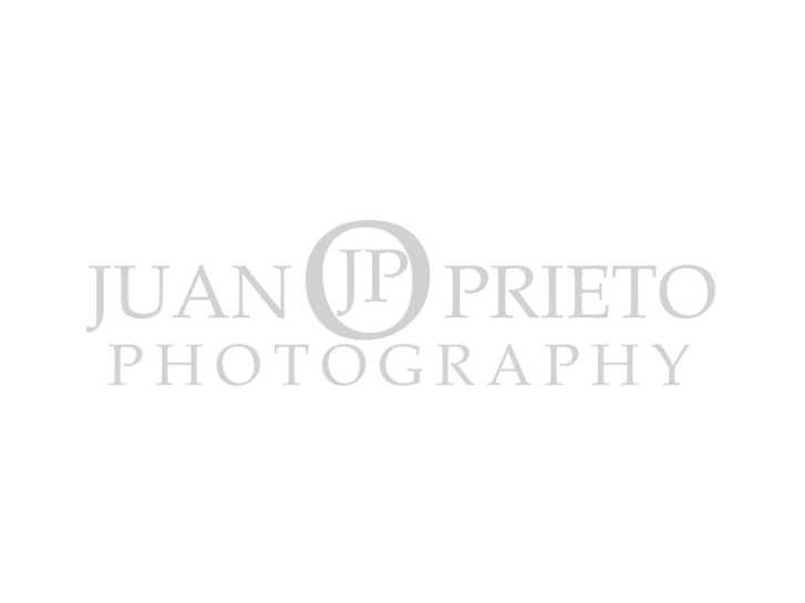 www.juanprieto.com