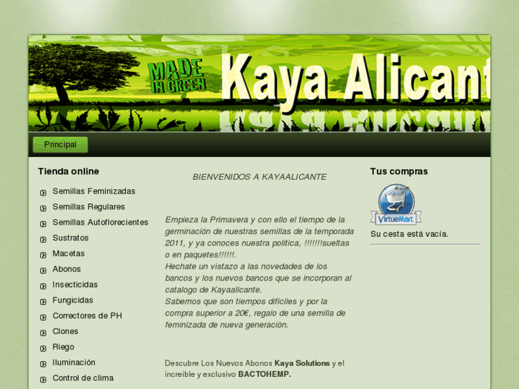 www.kayaalicante.es