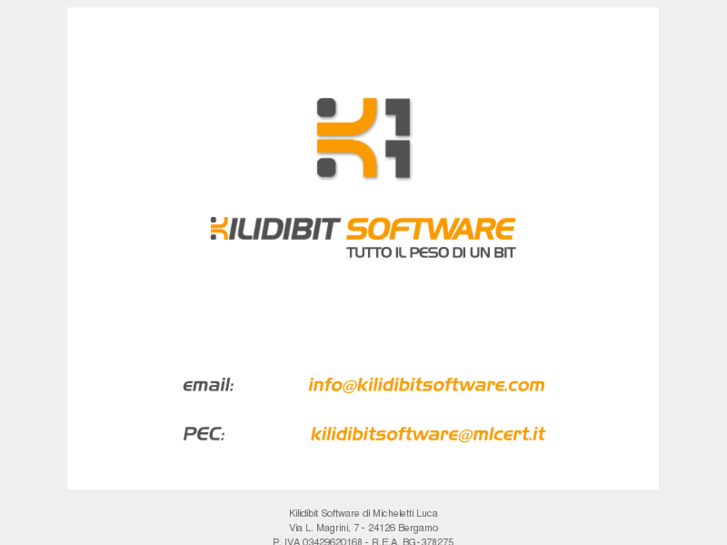 www.kilidibitsoftware.com