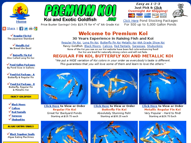 www.premiumkoi.com