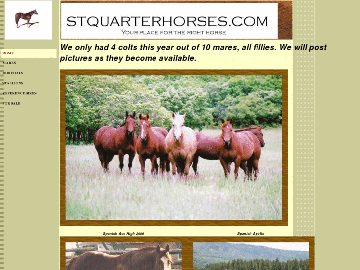 www.stquarterhorses.com