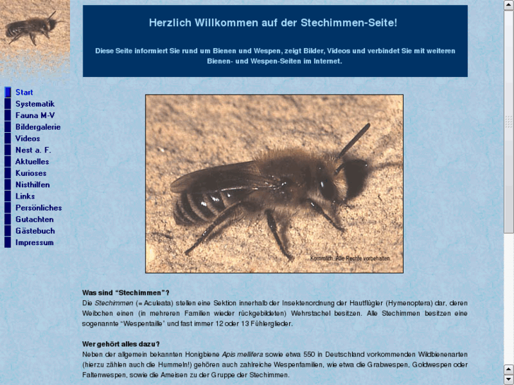 www.aculeata.net