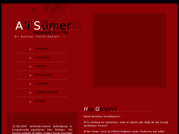 www.alisumer.net