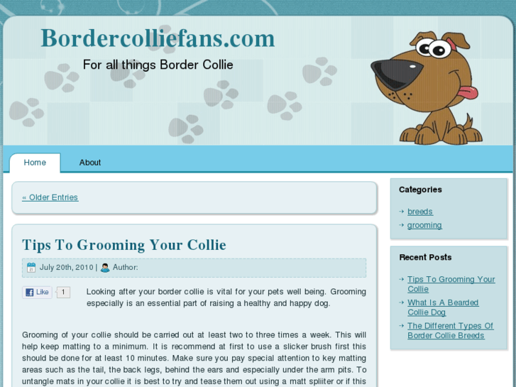 www.bordercolliefans.com