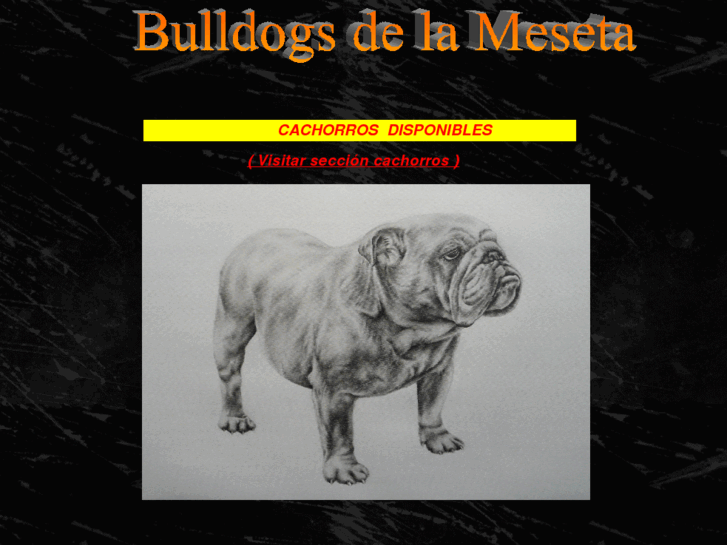 www.bulldogsdelameseta.es