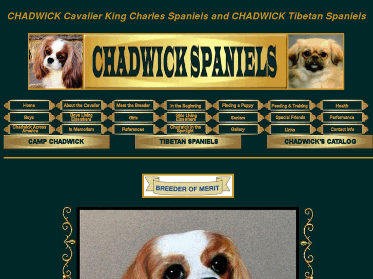 www.chadwickspaniels.com