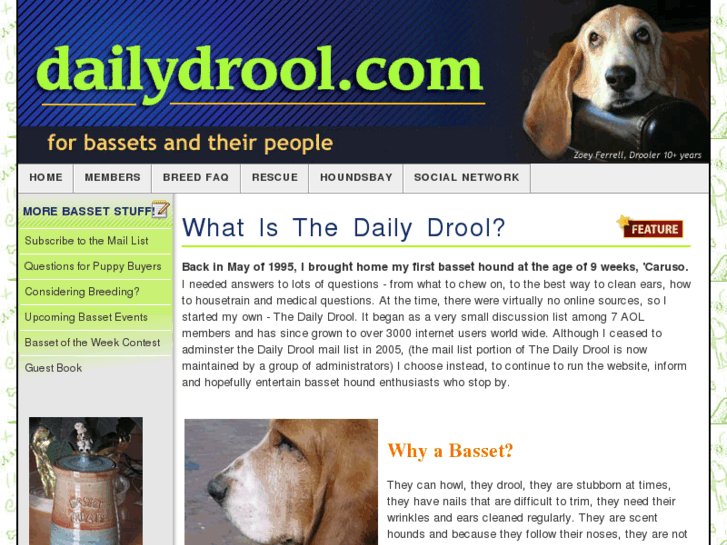 www.dailydrool.com