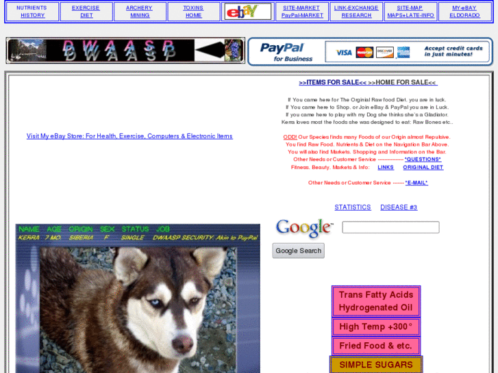 www.dwaasp.net