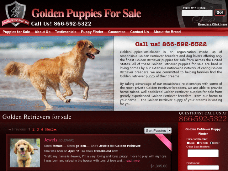 www.goldenpuppiesforsale.net