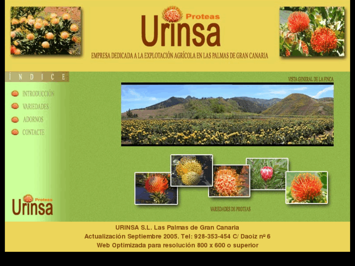 www.urinsa.com