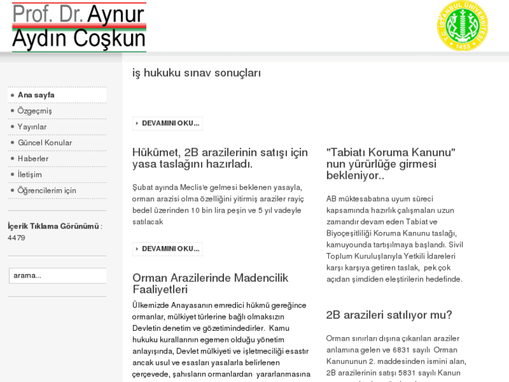 www.aynuraydincoskun.com