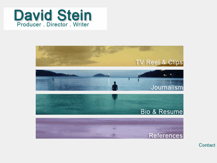 www.davidcstein.com