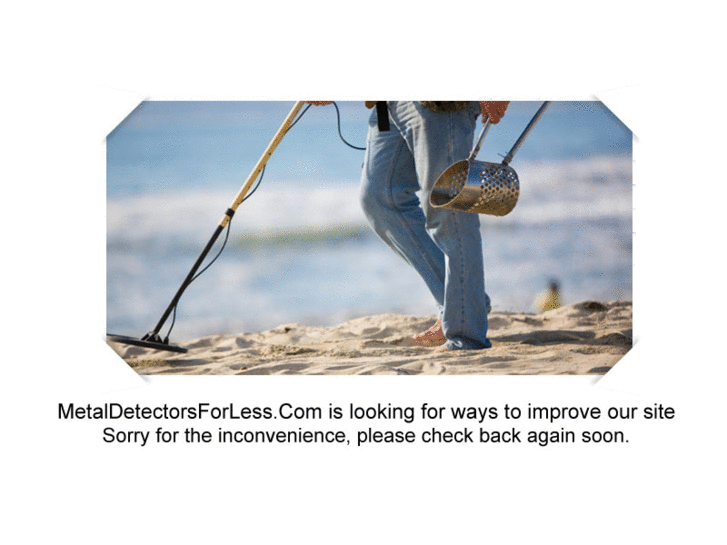 www.metaldetectorsforless.com