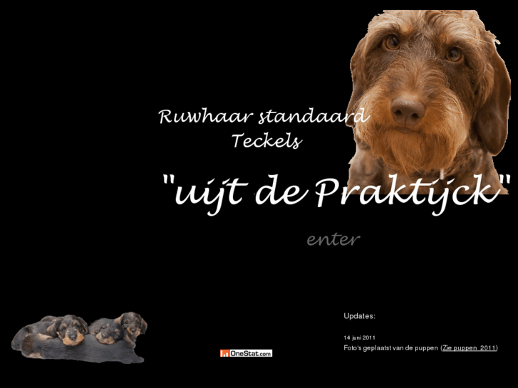 www.uijtdepraktijck.com