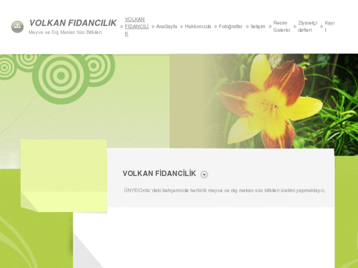 www.volkanfidancilik.com