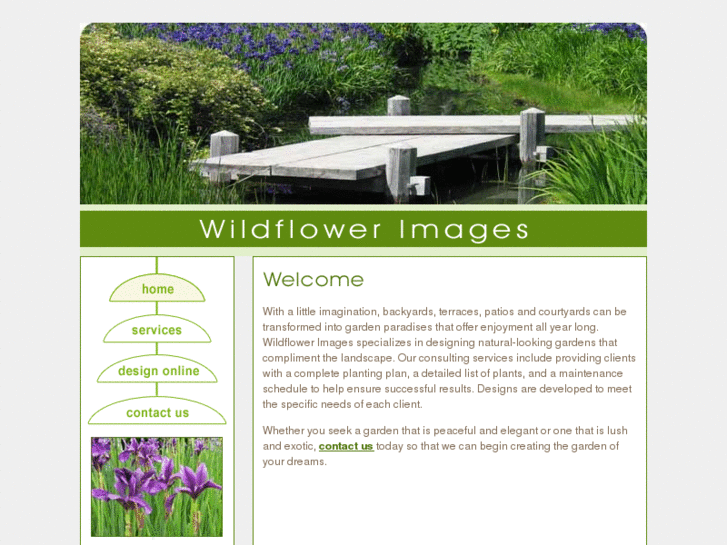 www.wildflowerimages.com