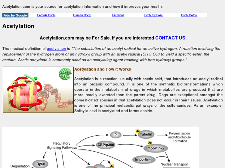 www.acetylation.com