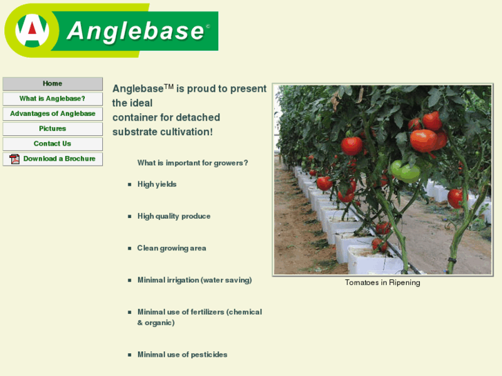 www.anglebase.net