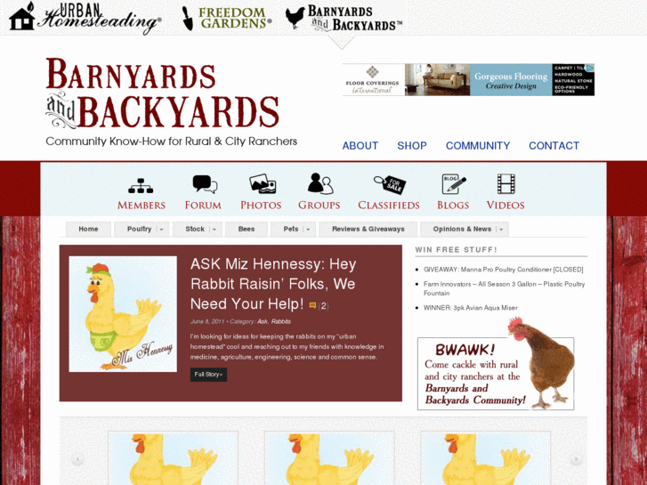 www.backyardchicken.net