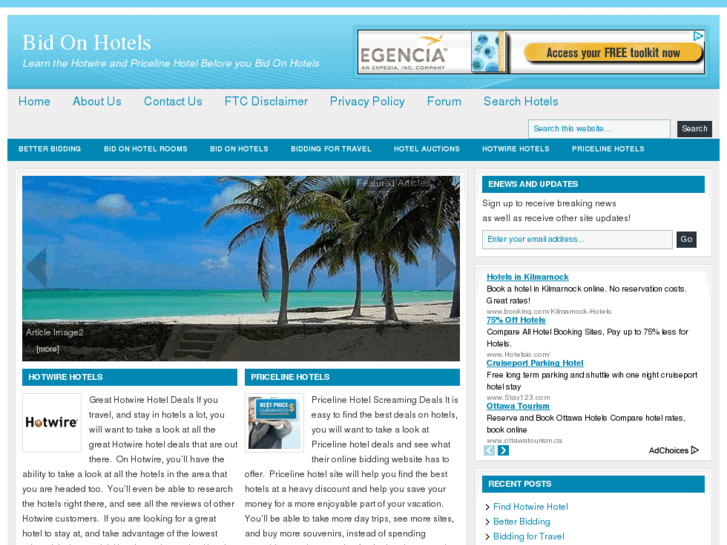 www.bidonhotels.net
