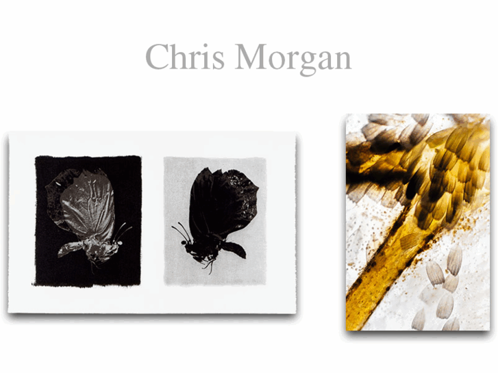 www.chmorgan.com