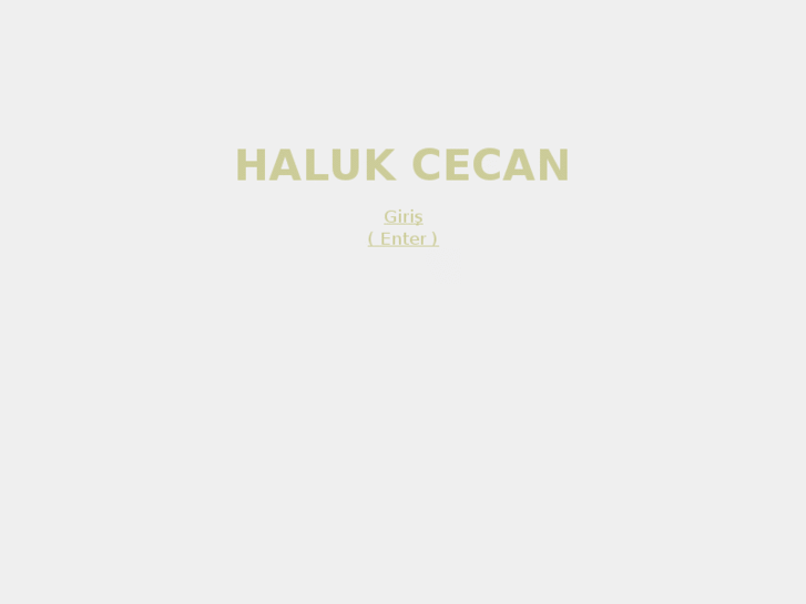 www.halukcecan.com