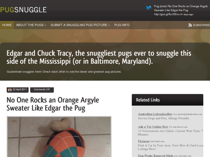 www.pugsnuggle.com