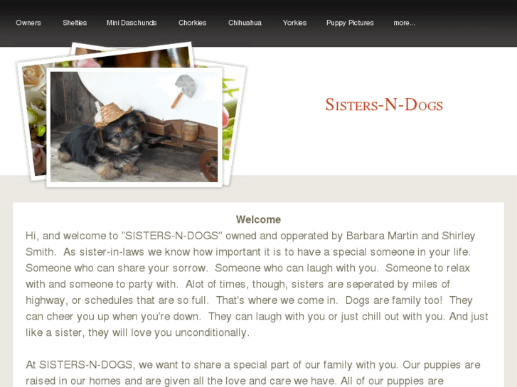 www.sistersndogs.com