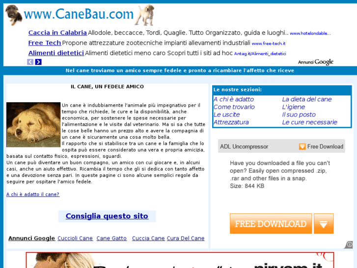 www.canebau.com