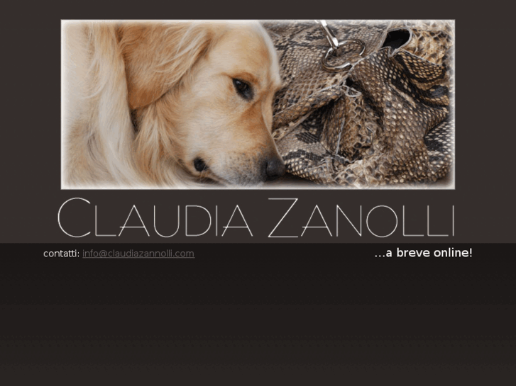 www.claudiazanolli.com