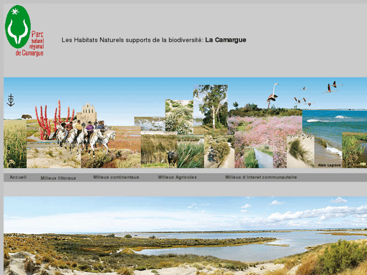 www.habitats-naturels-camargue.fr