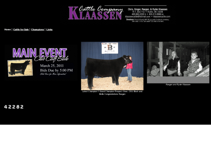 www.klaassencattleco.com