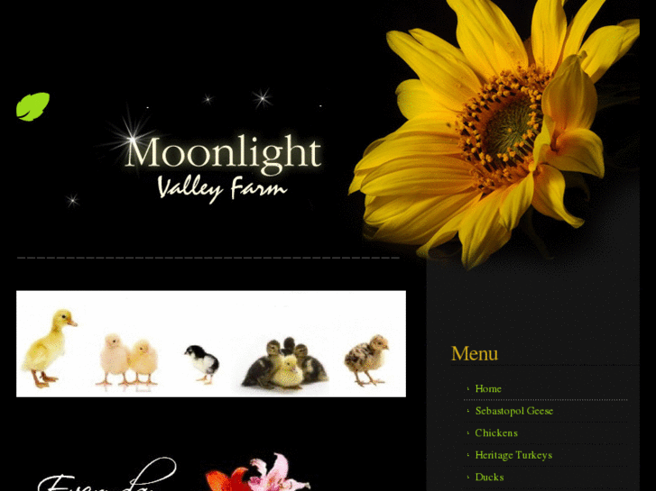 www.moonlightvalleyfarm.com