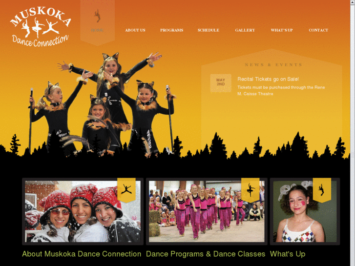 www.muskokadanceconnection.com