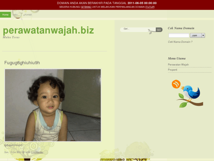 www.perawatanwajah.biz