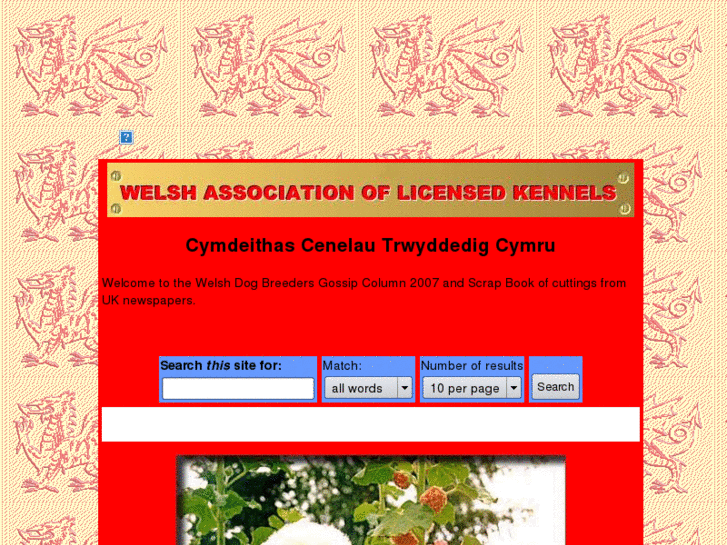 www.walk-wales.org.uk