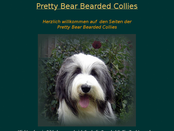 www.bearded-collie-welpen.com