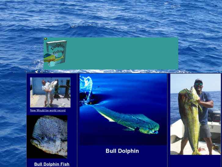 www.bulldolphin.com