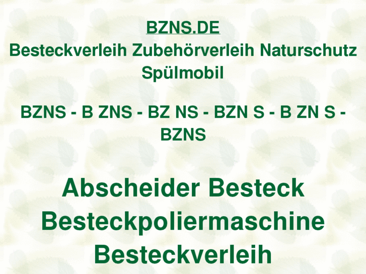 www.bzns.de