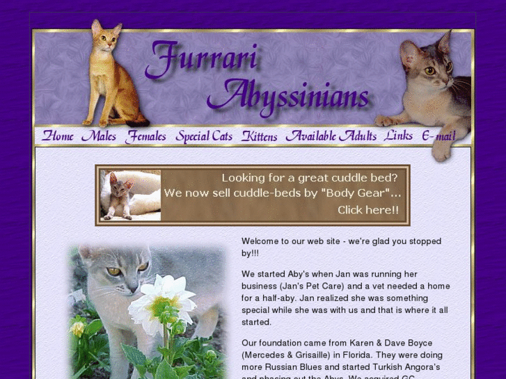 www.furrariabyssinians.com